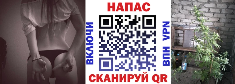 Конопля ГИДРОПОН  Далматово 